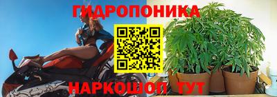 мяу мяу мука Краснознаменск